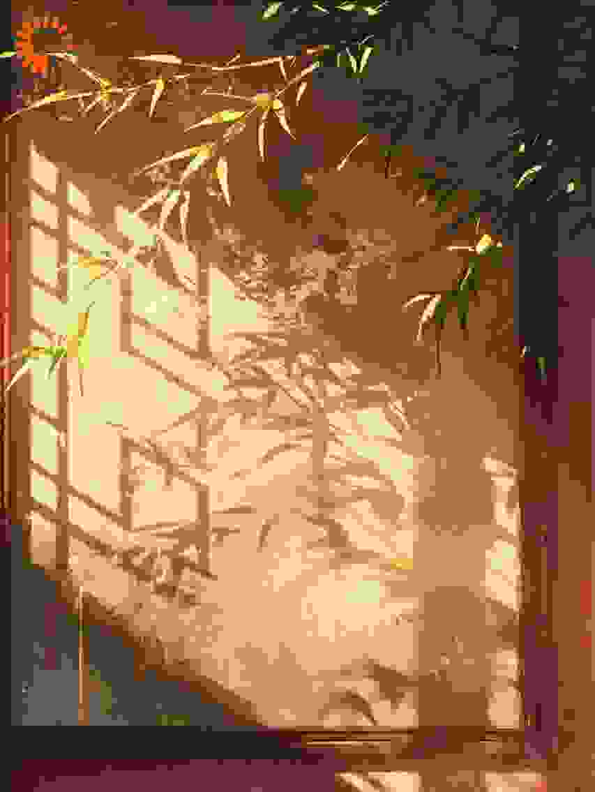 怎么你们都是玩家，就我一个npc啊