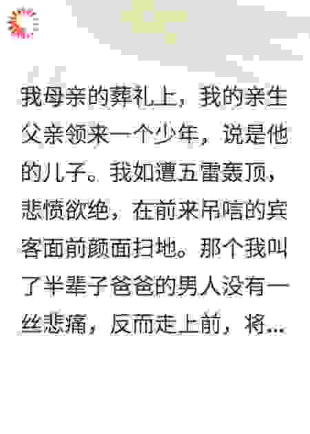 母亲葬礼：父亲带回私生子