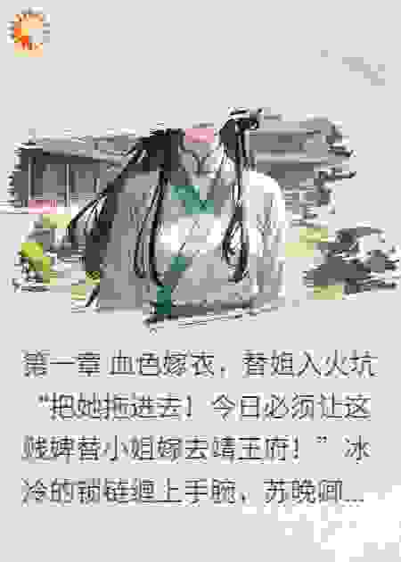 替嫁丫鬟杀疯了：王爷跪求复婚