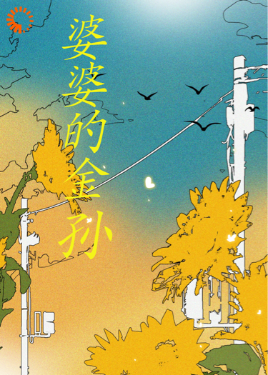 婆婆的金孙