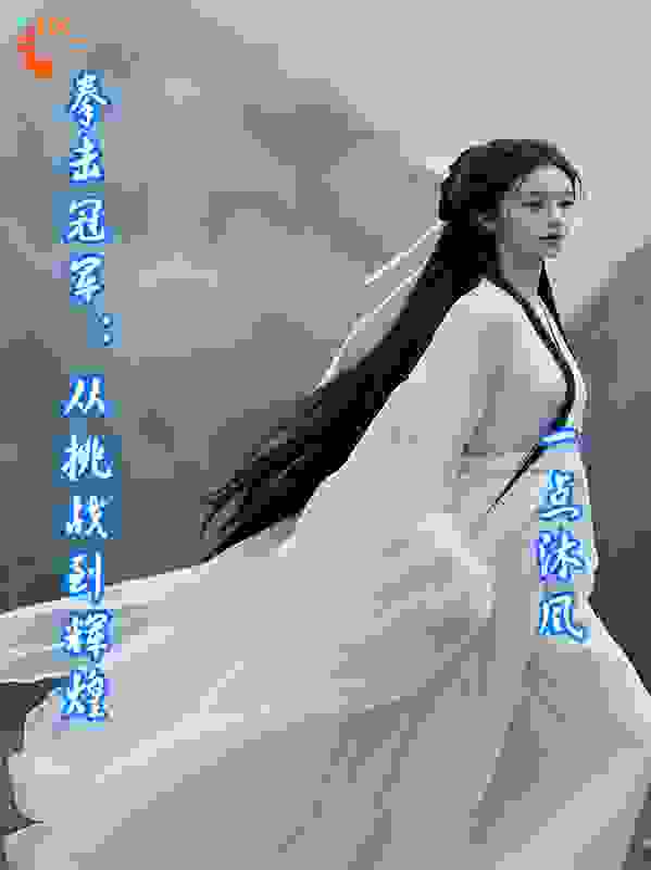 拳击冠军：从挑战到辉煌