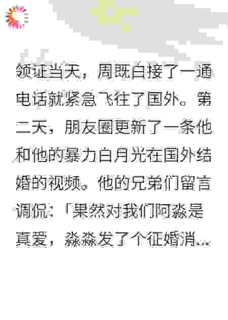 领证当天，周既白紧急飞往了国外