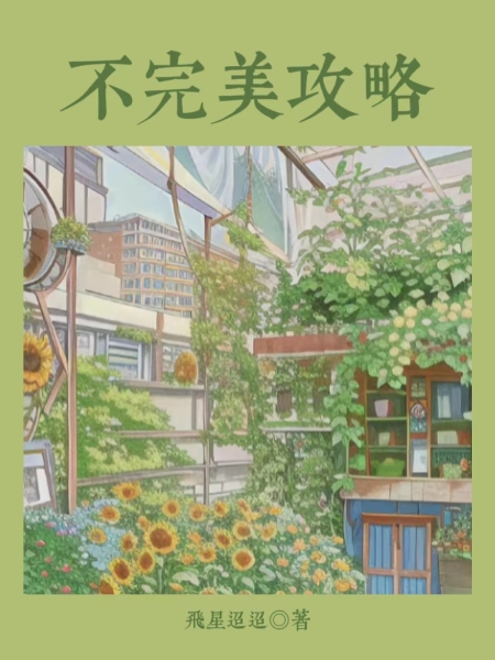 不完美攻略