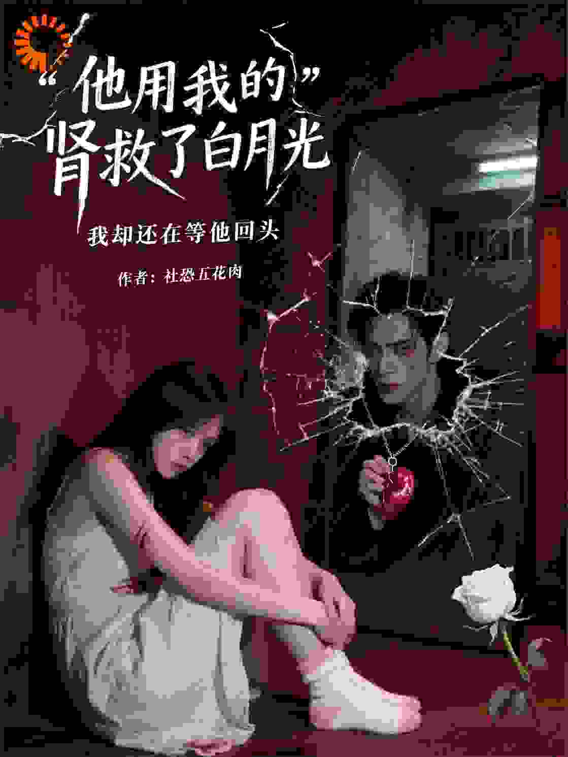 老公用我的肾去救他的白月光
