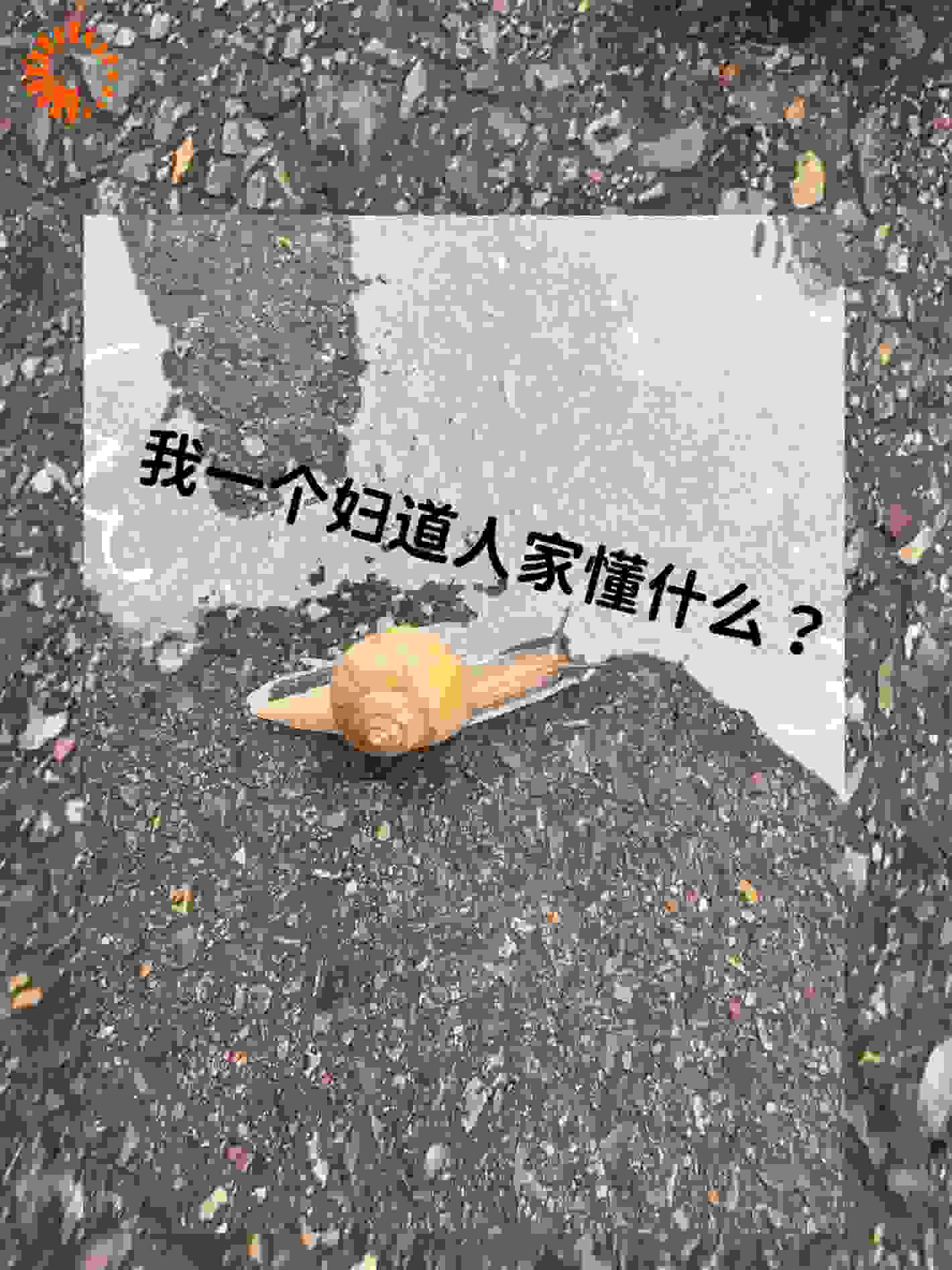 我一个妇道人家懂什么？