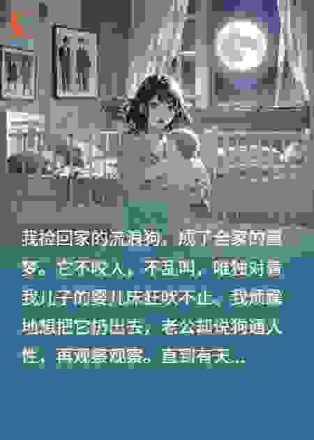 流浪狗夜吠，婆婆竟对亲孙下咒