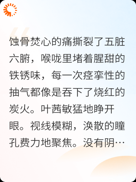 月光斜照，身影成双