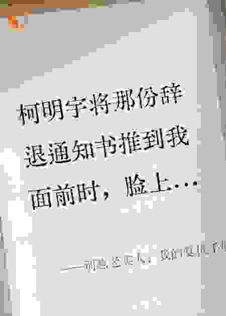 别惹老实人：我的复仇手册