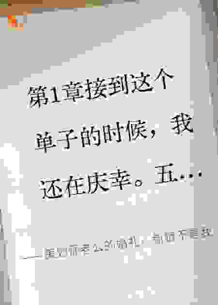 策划师老公的婚礼，新娘不是我